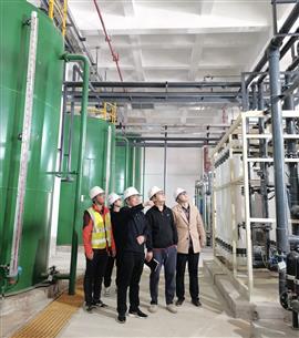 廖立波到桂華分公司項目調(diào)研指導工作