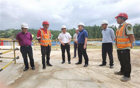 廖立波到分公司項目調(diào)研指導