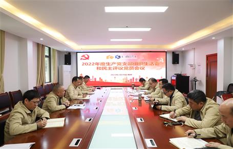 廖立波、唐峰、何勇以普通黨員身份參加所在黨支部2022年度組織生活會(huì)