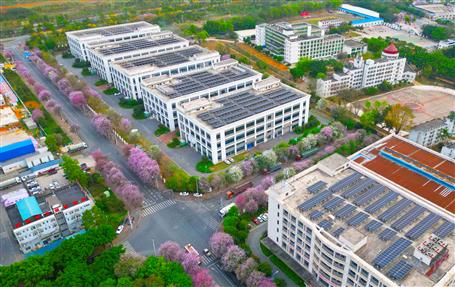 【實干筑夢·競賽爭鋒】冶建基礎分公司一光伏發(fā)電項目順利通過竣工驗收